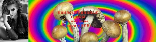 прущая мука Волосово